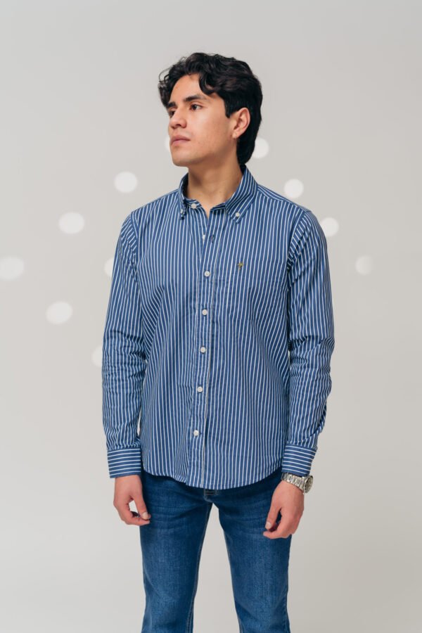 Camisa Skyline Stripes - Estilo Executive Chic