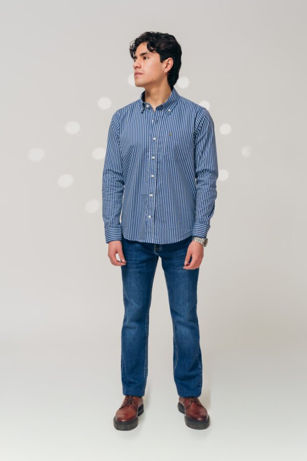 Camisa Skyline Stripes - Estilo Executive Chic